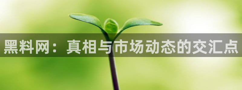 高血糖可以吃茄瓜吗：黑料网：真相与市场动态的交汇点