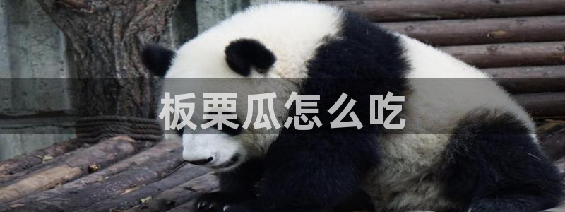 吃瓜去哪个网