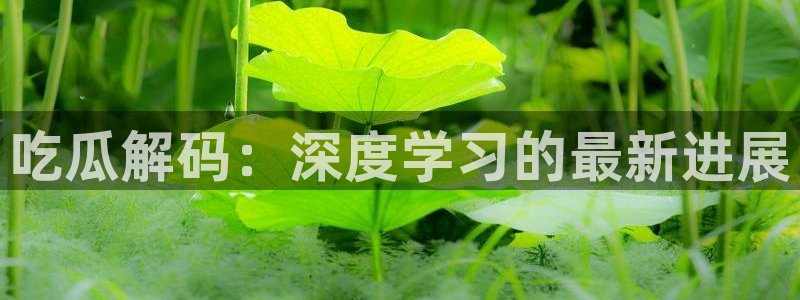 吃瓜去哪个网：吃瓜解码：深度学习的最新进展