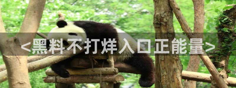黑料黑料：<黑料不打烊入口正能量>