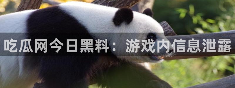 长生武道从九龙夺嫡开始吃瓜