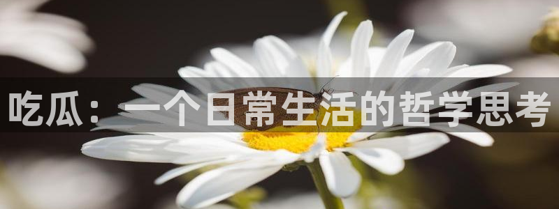 1吃瓜