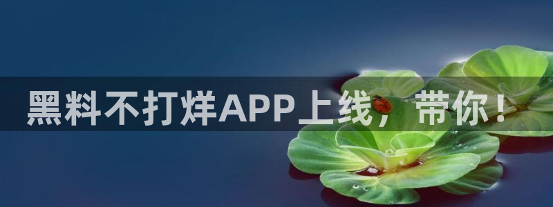 51吃瓜 张津瑜 网