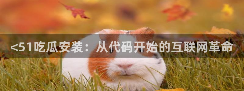 吃瓜舌头发麻什么原因：<51吃瓜安装：从代码开始的互联网革命