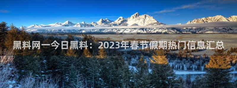51吃瓜今日必吃刀刀：黑料网一今日黑料：2023年春节假期热门信息汇总