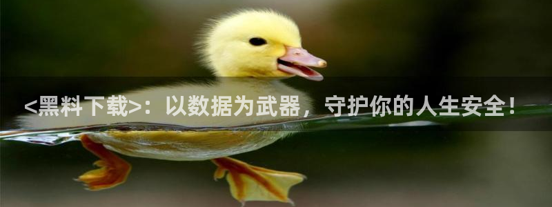 nanataipei今日吃瓜：<黑料下载>：以数据为武器，守护你的人生安全！