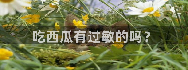 51吃瓜网 张津瑜：吃西瓜有过敏的吗？