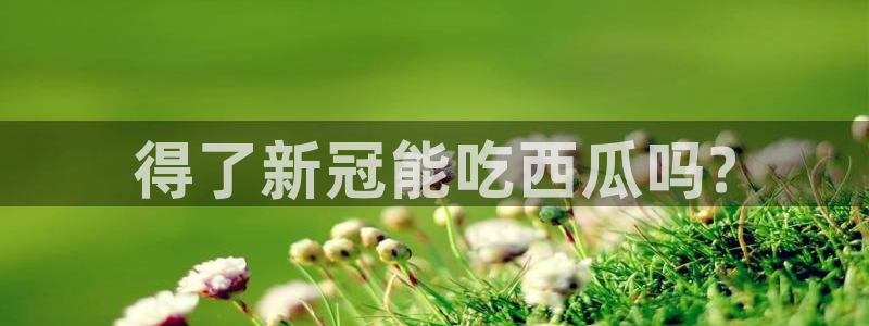 各种网红爆料吃瓜网站