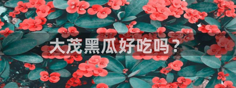 51吃瓜网今日必吃大瓜：大茂黑瓜好吃吗？