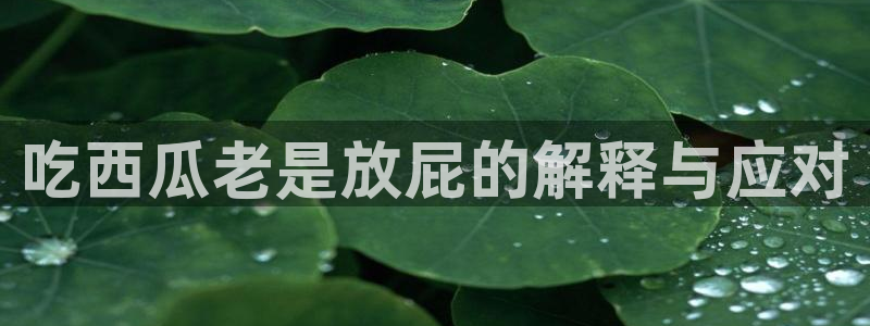 黑料专区：吃西瓜老是放屁的解释与应对