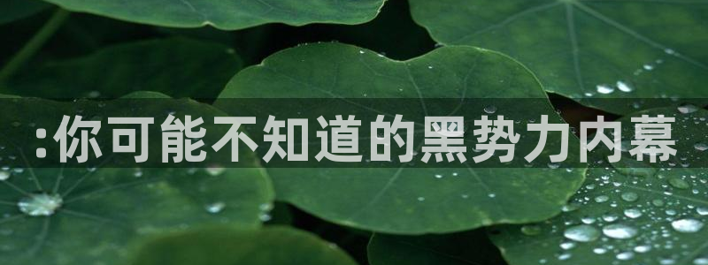 高血糖可以吃籽瓜吗