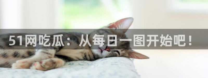 51吃瓜今日吃瓜必吃莫里秀：51网吃瓜：从每日一图开始吧！