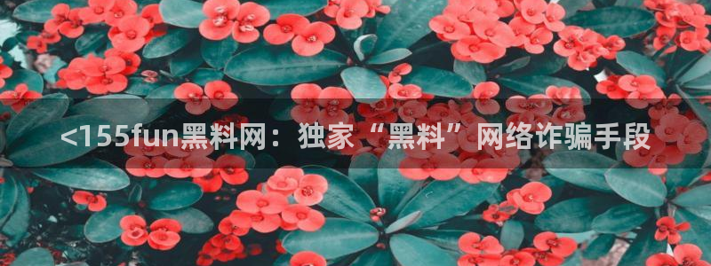 黑料免费：<155fun黑料网：独家“黑料”网络诈骗手段