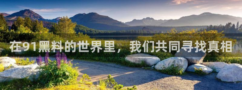 718.sⅹ吃瓜718.sx：在91黑料的世界里，我们共同寻找真相