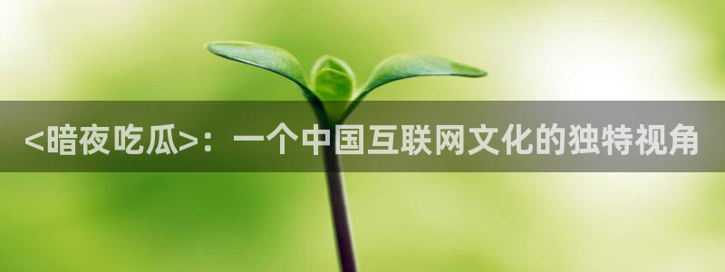 黑料.：<暗夜吃瓜>：一个中国互联网文化的独特视角