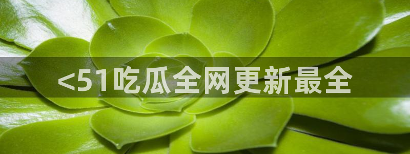 吃瓜小说
