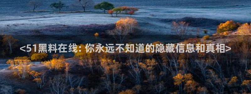 ccgg今日吃瓜:<51黑料在线: 你永远不知道的隐藏信息和真相>