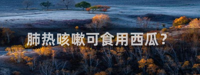 风静言我在年代文里吃瓜看戏：肺热咳嗽可食用西瓜？