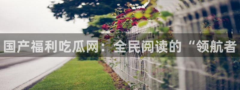 51cg吃瓜网今日吃瓜：国产福利吃瓜网：全民阅读的“领航者