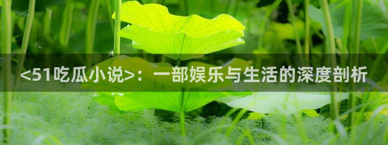 24小时吃瓜不间断：<51吃瓜小说>：一部娱乐与生活的深度剖析