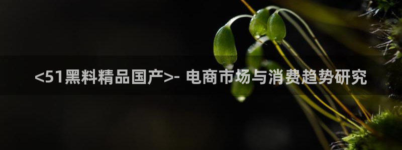 www.黑料：<51黑料精品国产>- 电商市场与消费趋势研究