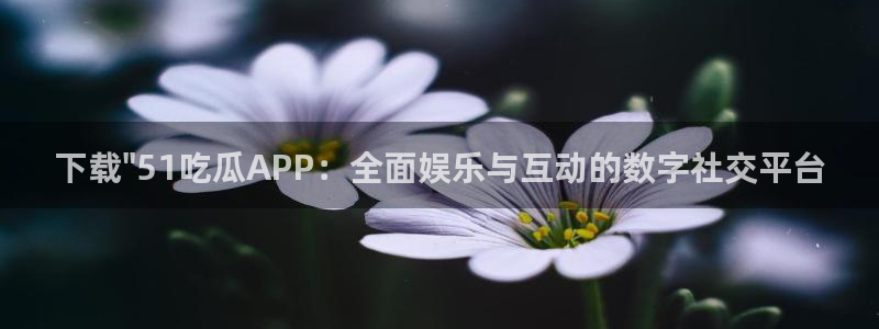 黑料下载：下载\